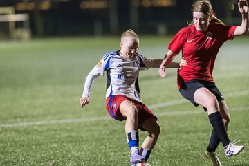 Bild 156 - wBJ Hamburger SV - Eimsbuettler TV 2 : Ergebnis: 16:0